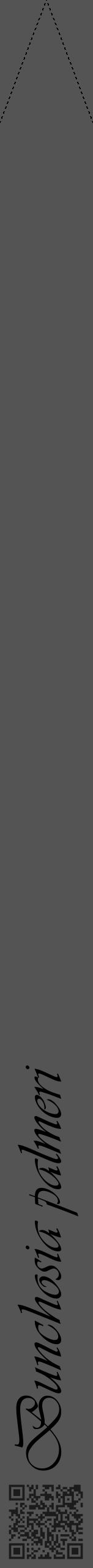 Étiquette de : Bunchosia palmeri - format b - style noire36viv avec qrcode et comestibilité - position verticale