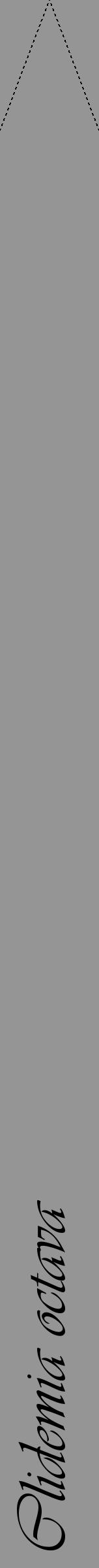 Étiquette de : Clidemia octava - format b - style noire16viv avec comestibilité - position verticale