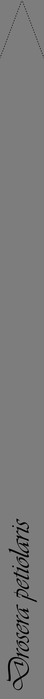 Étiquette de : Drosera petiolaris - format b - style noire35viv avec comestibilité - position verticale