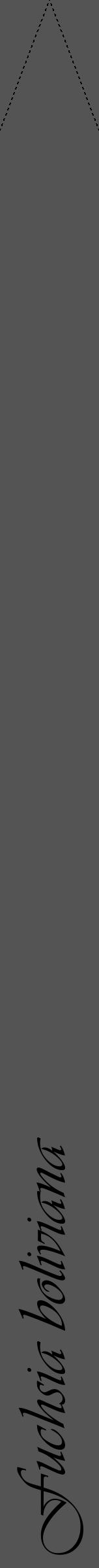 Étiquette de : Fuchsia boliviana - format b - style noire36viv avec comestibilité - position verticale