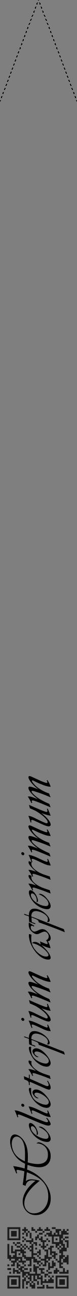 Étiquette de : Heliotropium asperrimum - format b - style noire31viv avec qrcode et comestibilité - position verticale