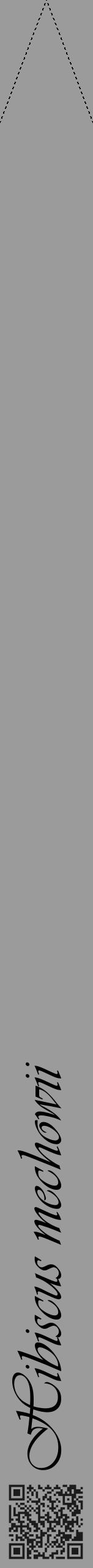 Étiquette de : Hibiscus mechowii - format b - style noire52viv avec qrcode et comestibilité - position verticale