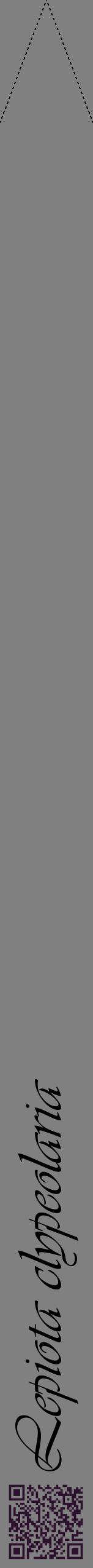 Étiquette de : Lepiota clypeolaria - format b - style noire57viv avec qrcode et comestibilité