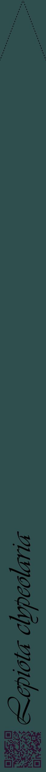 Étiquette de : Lepiota clypeolaria - format b - style noire58viv avec qrcode et comestibilité