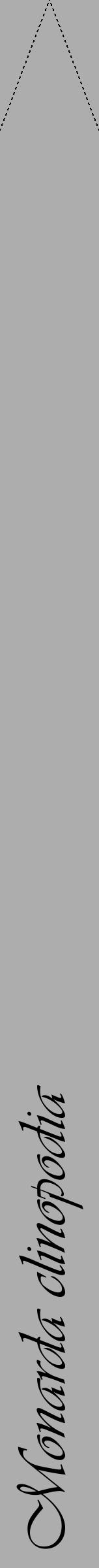 Étiquette de : Monarda clinopodia - format b - style noire22viv avec comestibilité - position verticale