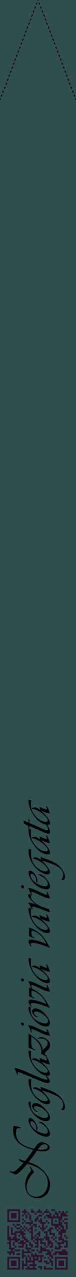 Étiquette de : Neoglaziovia variegata - format b - style noire58viv avec qrcode et comestibilité