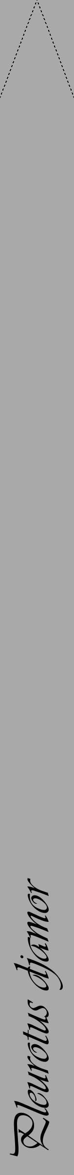Étiquette de : Pleurotus djamor - format b - style noire13viv avec comestibilité - position verticale
