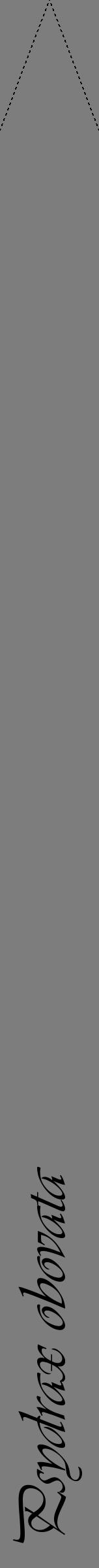 Étiquette de : Psydrax obovata - format b - style noire35viv avec comestibilité - position verticale