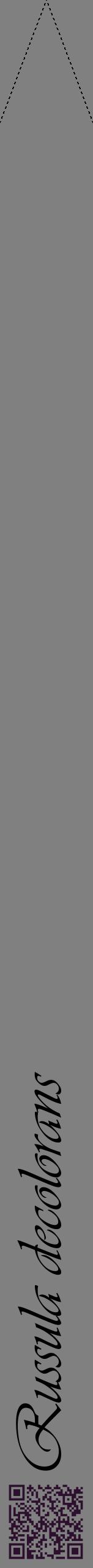 Étiquette de : Russula decolorans - format b - style noire57viv avec qrcode et comestibilité