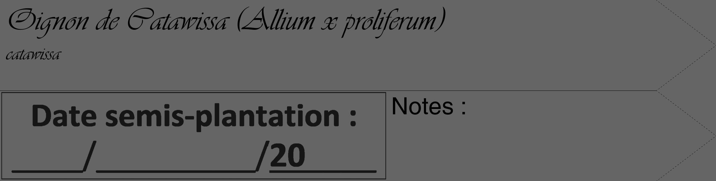 Étiquette de : Allium x proliferum catawissa - format c - style noire32_simple_simpleviv avec comestibilité