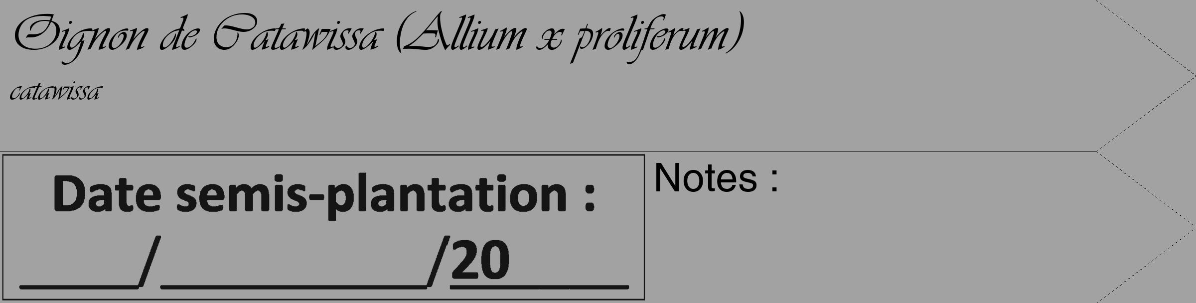 Étiquette de : Allium x proliferum catawissa - format c - style noire38_simple_simpleviv avec comestibilité