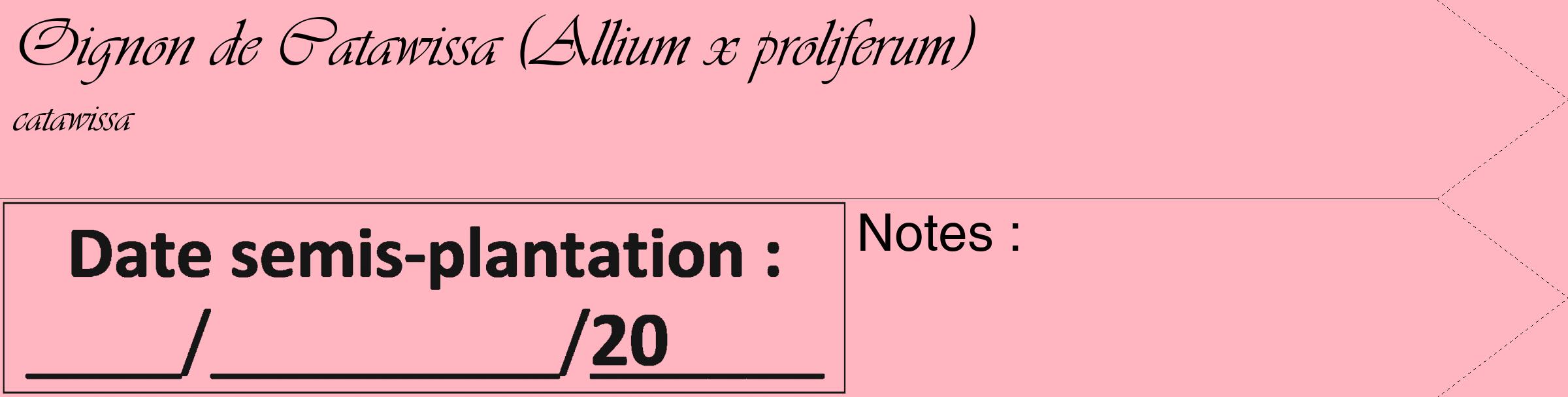 Étiquette de : Allium x proliferum catawissa - format c - style noire41_simple_simpleviv avec comestibilité
