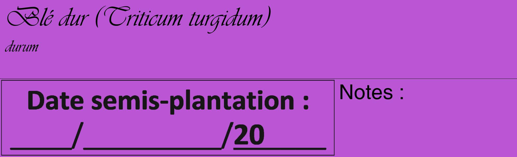 Étiquette de : Triticum turgidum durum - format c - style noire50_basique_basiqueviv avec comestibilité