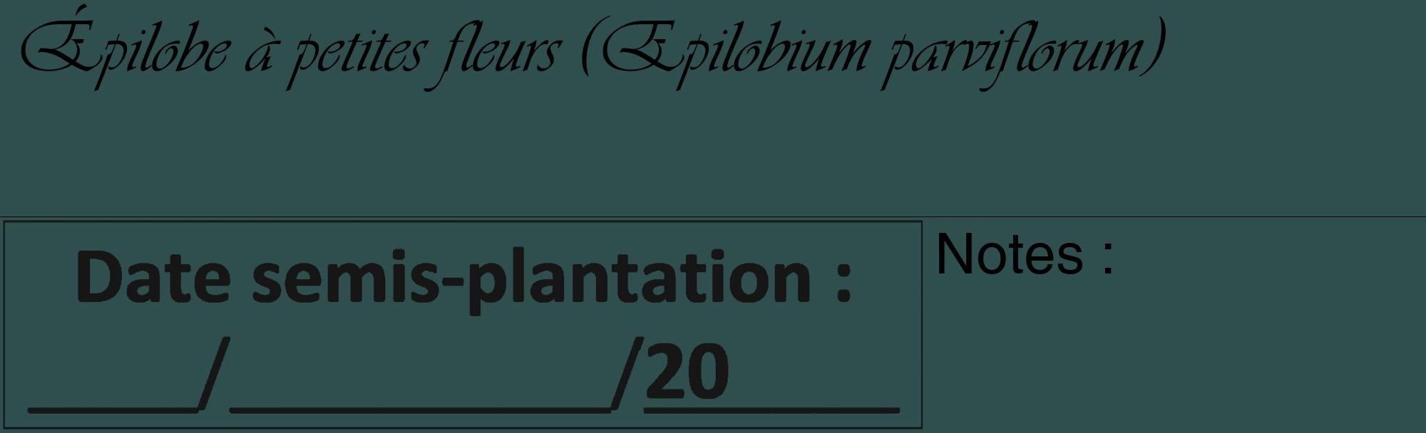 Étiquette de : Epilobium parviflorum - format c - style noire58_basique_basiqueviv avec comestibilité