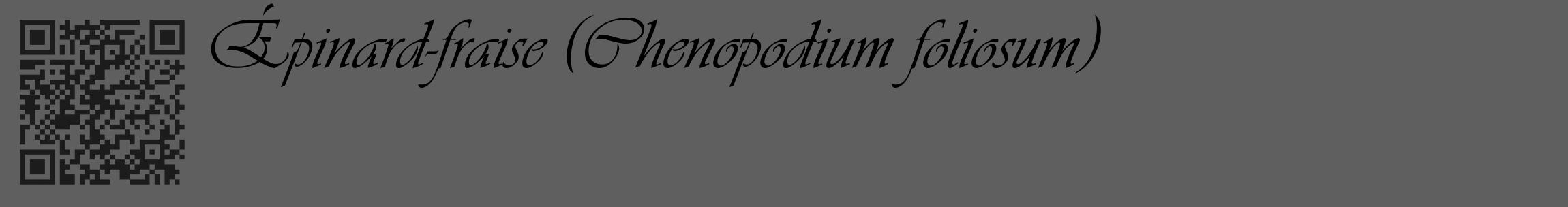 Étiquette de : Chenopodium foliosum - format c - style noire10_basique_basiqueviv avec qrcode et comestibilité
