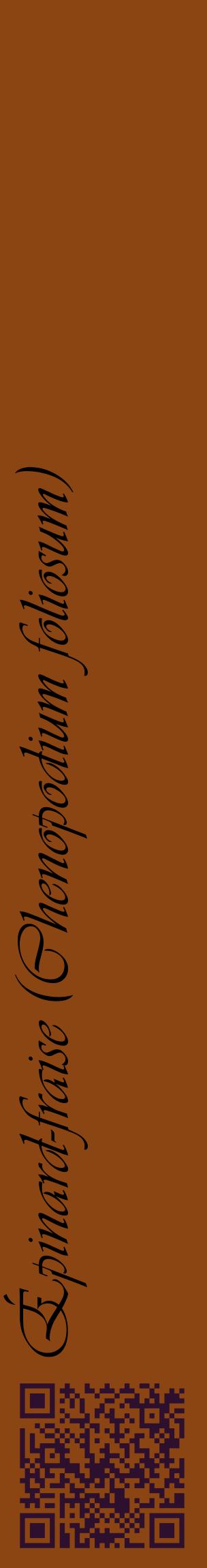 Étiquette de : Chenopodium foliosum - format c - style noire30_basiqueviv avec qrcode et comestibilité