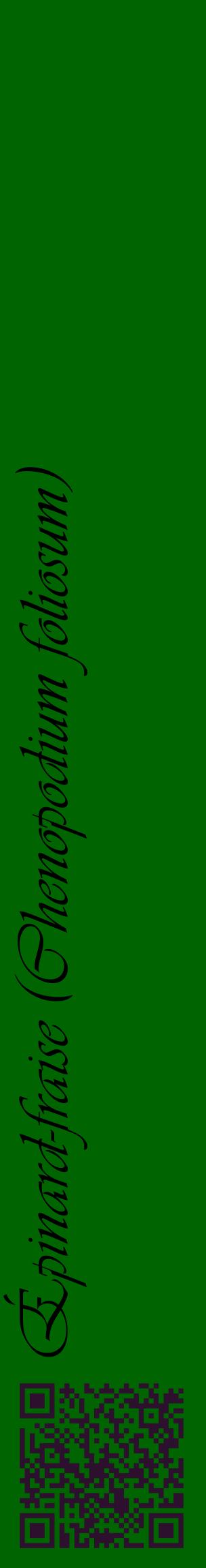 Étiquette de : Chenopodium foliosum - format c - style noire8_basiqueviv avec qrcode et comestibilité