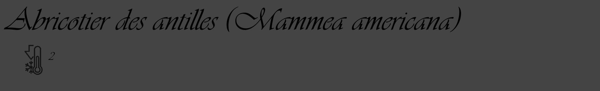 Étiquette de : Mammea americana - format c - style noire48_basique_basiqueviv avec comestibilité