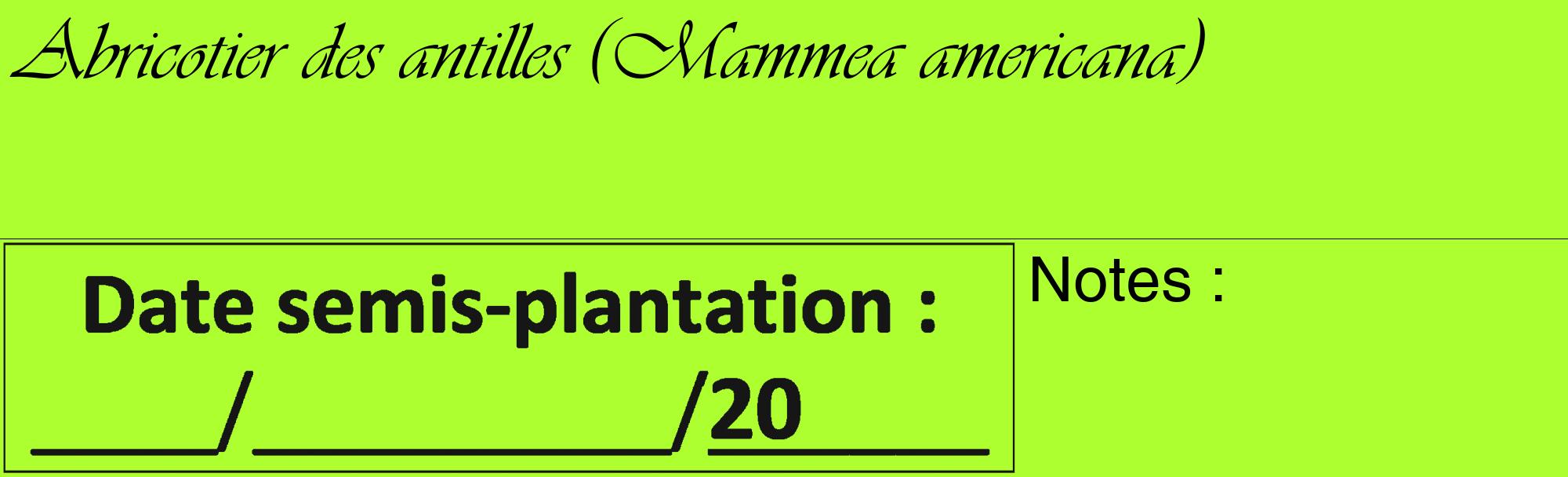 Étiquette de : Mammea americana - format c - style noire17_basique_basiqueviv avec comestibilité