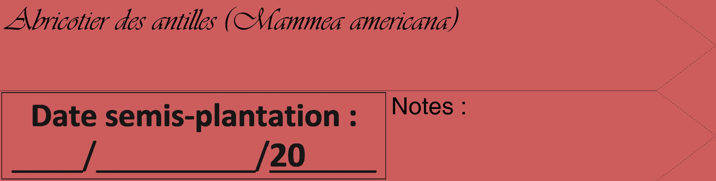 Étiquette de : Mammea americana - format c - style noire35_simple_simpleviv avec comestibilité