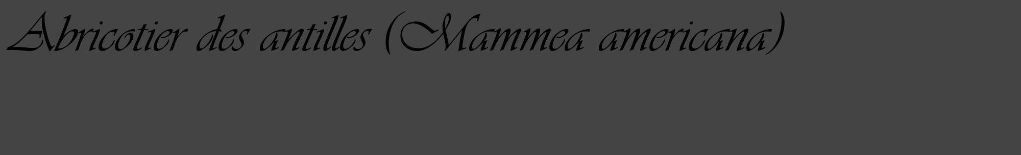 Étiquette de : Mammea americana - format c - style noire48_basique_basiqueviv avec comestibilité