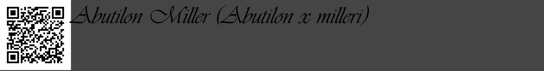 Étiquette de : Abutilon x milleri - format c - style noire58_basique_basiqueviv avec qrcode et comestibilité