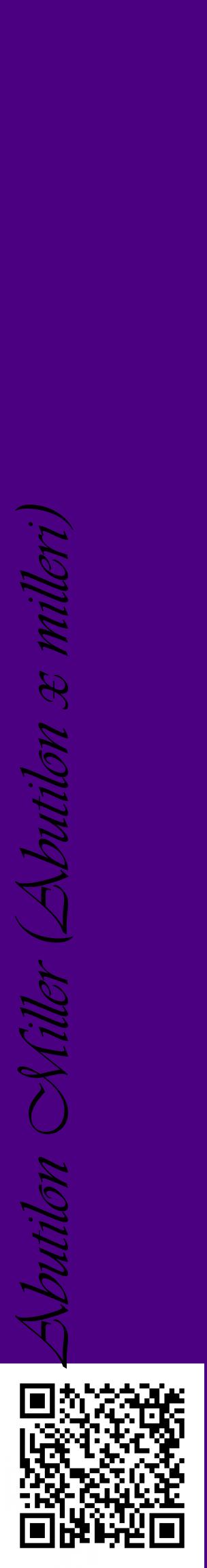 Étiquette de : Abutilon x milleri - format c - style noire47_basiqueviv avec qrcode et comestibilité