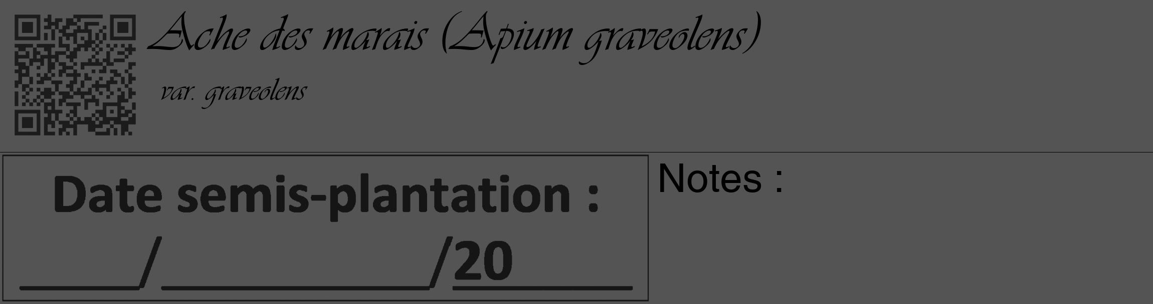 Étiquette de : Apium graveolens var. graveolens - format c - style noire36_basique_basiqueviv avec qrcode et comestibilité