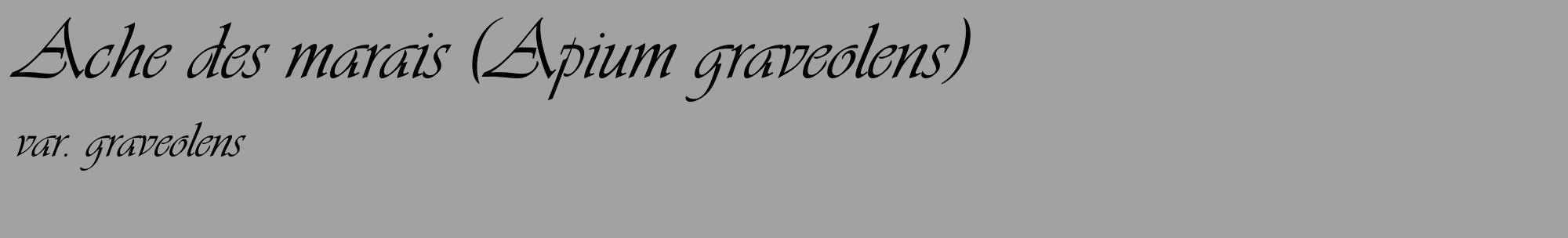 Étiquette de : Apium graveolens var. graveolens - format c - style noire38_basique_basiqueviv avec comestibilité