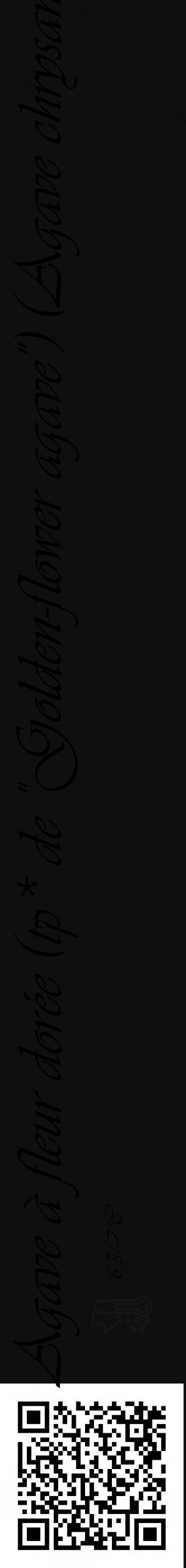 Étiquette de : Agave chrysantha - format c - style noire7_simple_simpleviv avec qrcode et comestibilité - position verticale