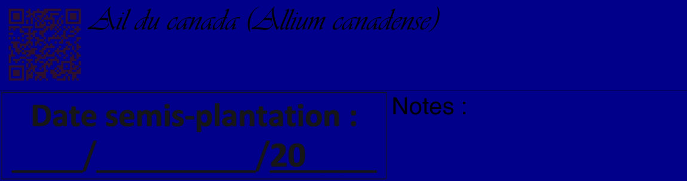 Étiquette de : Allium canadense - format c - style noire7_basique_basiqueviv avec qrcode et comestibilité