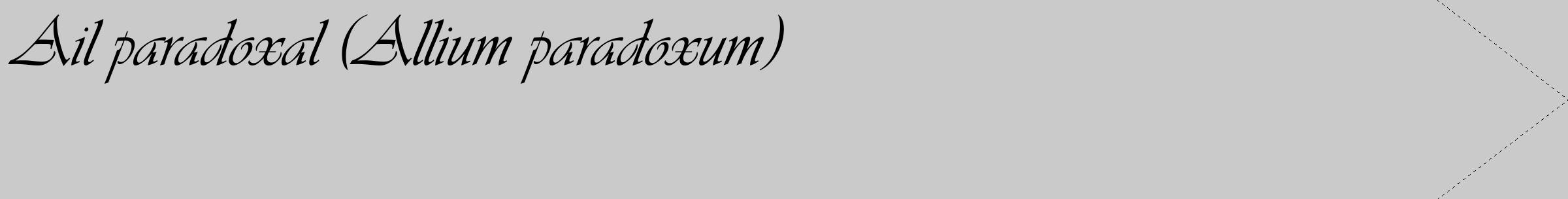 Étiquette de : Allium paradoxum - format c - style noire21_simple_simpleviv avec comestibilité
