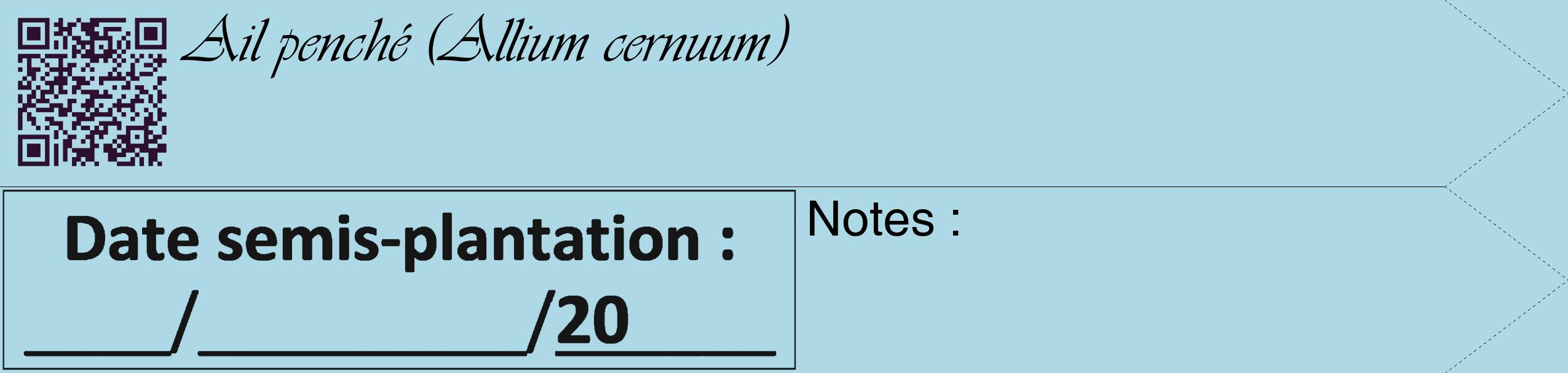 Étiquette de : Allium cernuum - format c - style noire0_simple_simpleviv avec qrcode et comestibilité