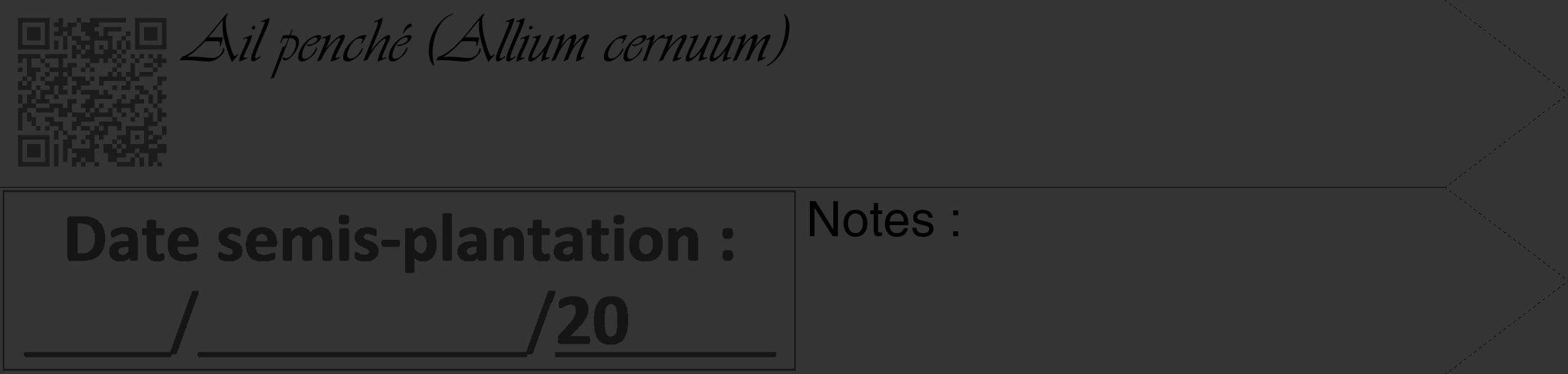 Étiquette de : Allium cernuum - format c - style noire46_simple_simpleviv avec qrcode et comestibilité
