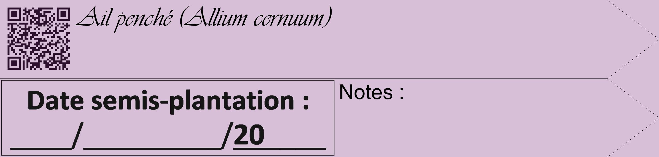 Étiquette de : Allium cernuum - format c - style noire54_simple_simpleviv avec qrcode et comestibilité