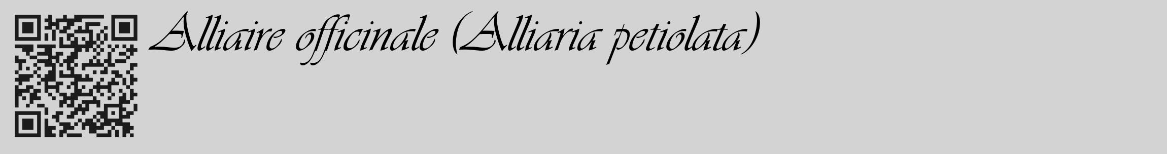 Étiquette de : Alliaria petiolata - format c - style noire56_basique_basiqueviv avec qrcode et comestibilité