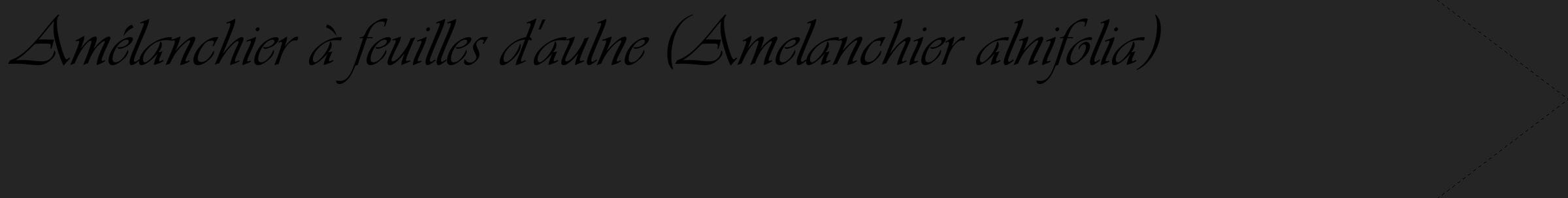 Étiquette de : Amelanchier alnifolia - format c - style noire47_simple_simpleviv avec comestibilité