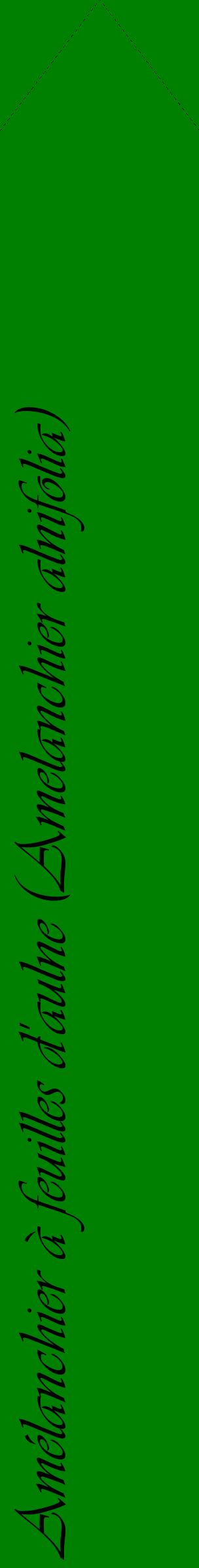 Étiquette de : Amelanchier alnifolia - format c - style noire9_simpleviv avec comestibilité