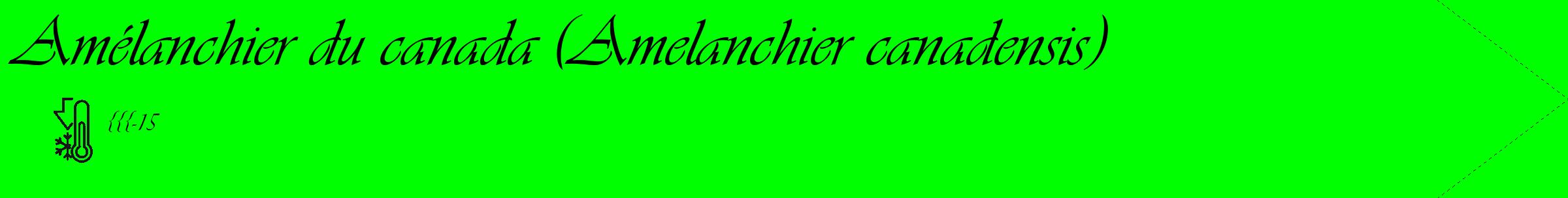 Étiquette de : Amelanchier canadensis - format c - style noire16_simple_simpleviv avec comestibilité