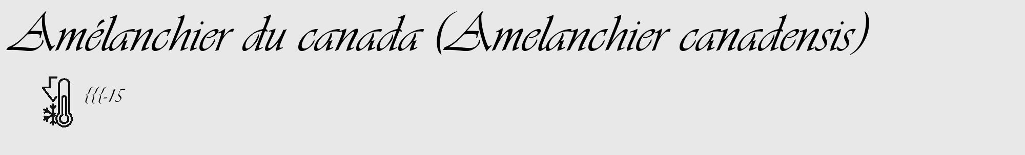 Étiquette de : Amelanchier canadensis - format c - style noire55_basique_basiqueviv avec comestibilité