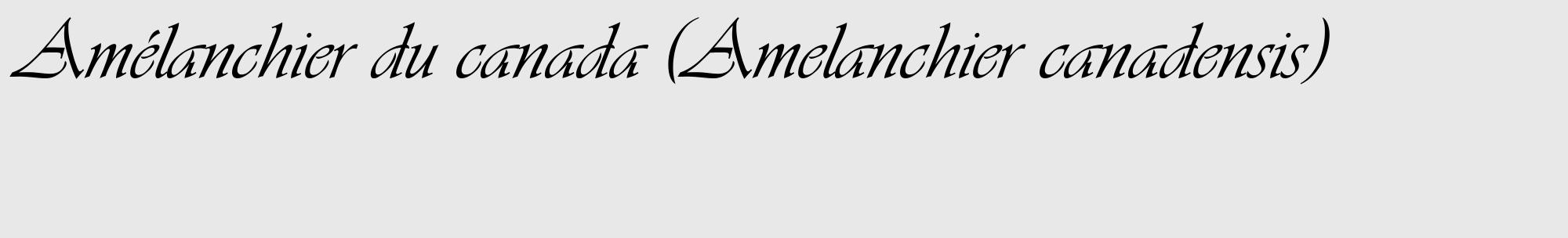 Étiquette de : Amelanchier canadensis - format c - style noire55_basique_basiqueviv avec comestibilité