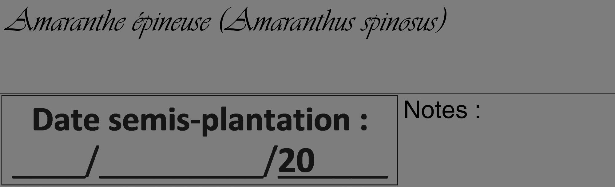 Étiquette de : Amaranthus spinosus - format c - style noire35_basique_basiqueviv avec comestibilité