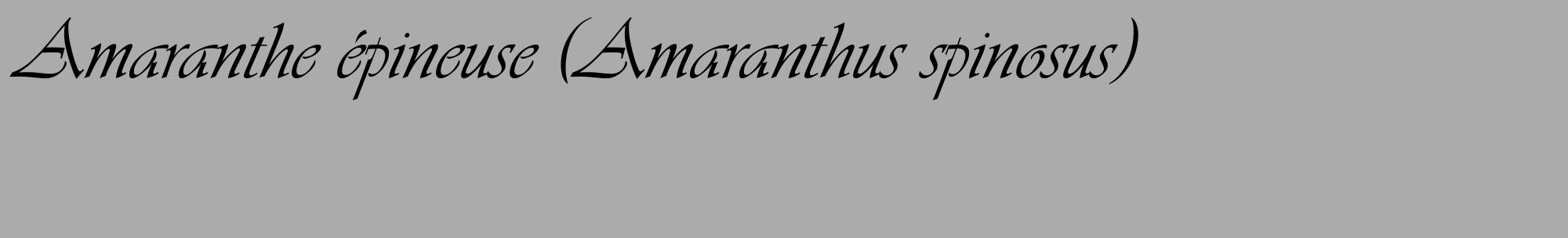 Étiquette de : Amaranthus spinosus - format c - style noire37_basique_basiqueviv avec comestibilité