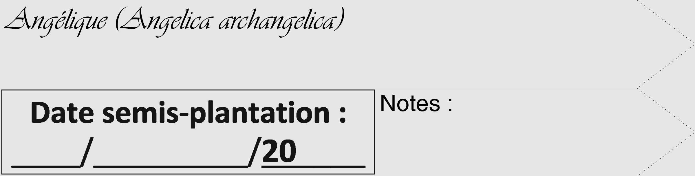 Étiquette de : Angelica archangelica - format c - style noire18_simple_simpleviv avec comestibilité