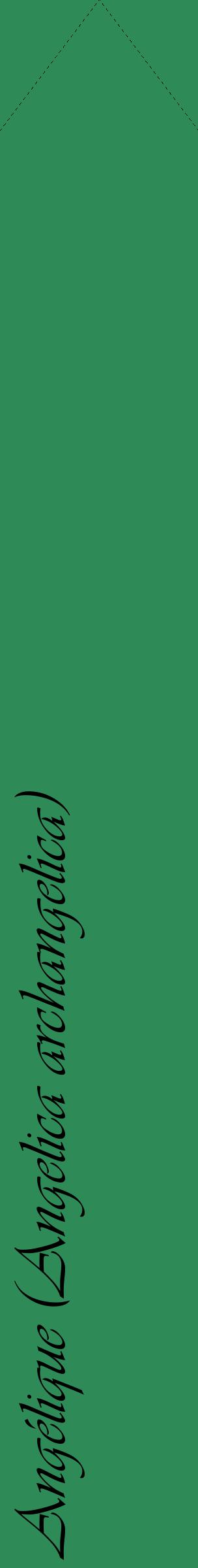 Étiquette de : Angelica archangelica - format c - style noire11_simpleviv avec comestibilité