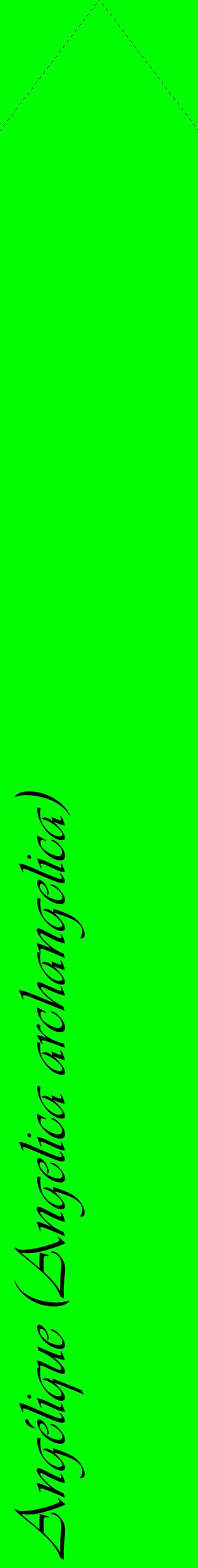 Étiquette de : Angelica archangelica - format c - style noire16_simpleviv avec comestibilité