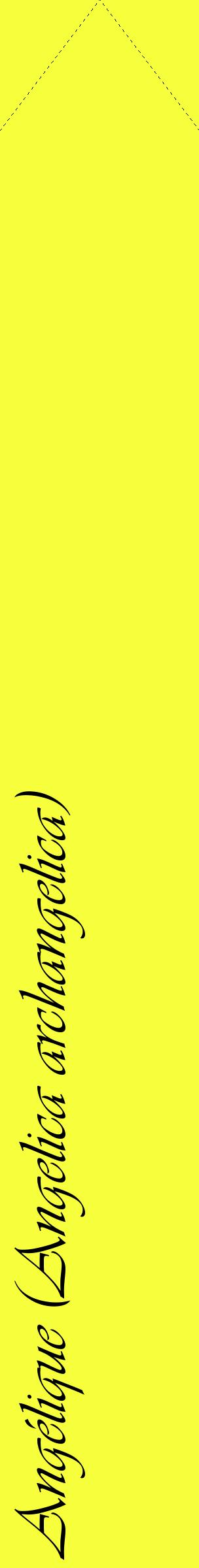 Étiquette de : Angelica archangelica - format c - style noire18_simpleviv avec comestibilité