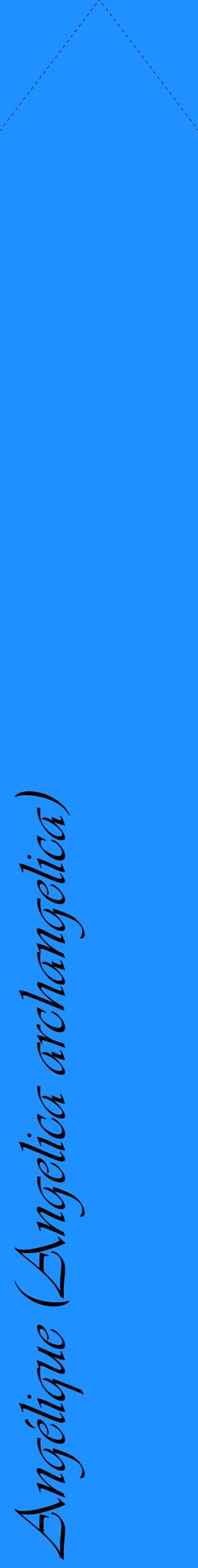 Étiquette de : Angelica archangelica - format c - style noire3_simpleviv avec comestibilité