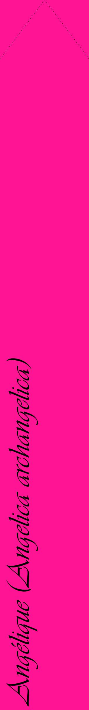 Étiquette de : Angelica archangelica - format c - style noire43_simpleviv avec comestibilité
