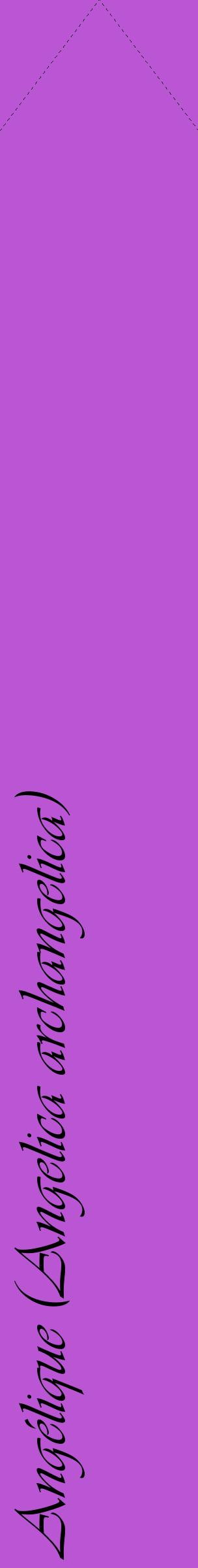 Étiquette de : Angelica archangelica - format c - style noire50_simpleviv avec comestibilité
